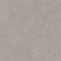 DD640920R Про Лаймстоун серый натуральный обрезной 60x60x0,9 - фото 60905