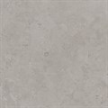 DD640920R Про Лаймстоун серый натуральный обрезной 60x60x0,9 - фото 60913